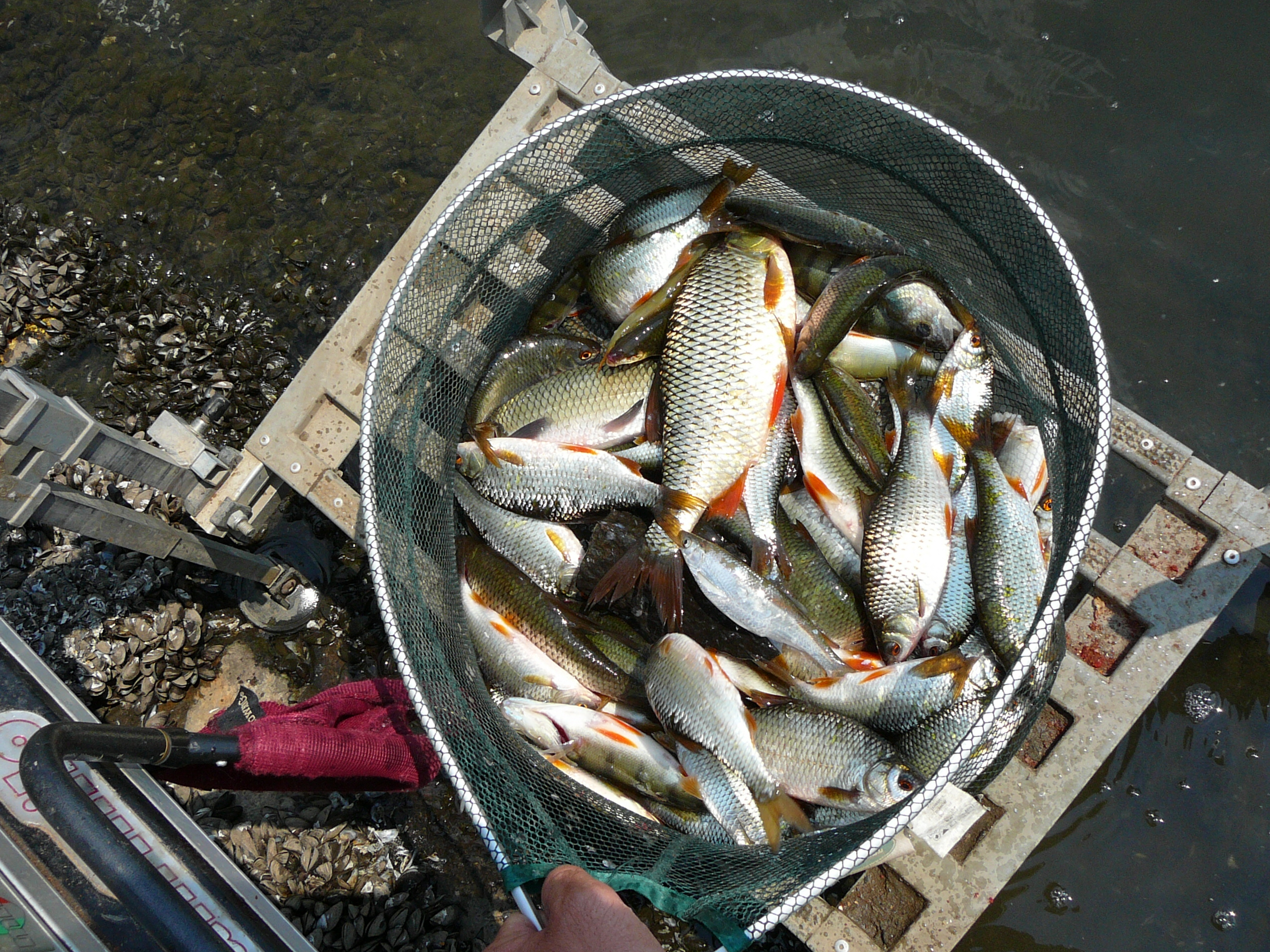 P1100028.JPG