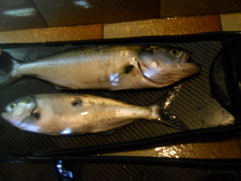DSCN1726.jpg