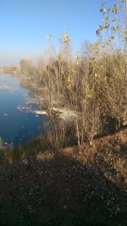 IMAG0137.jpg