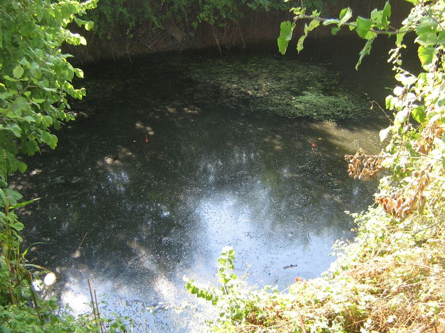 07.2011 229.jpg
