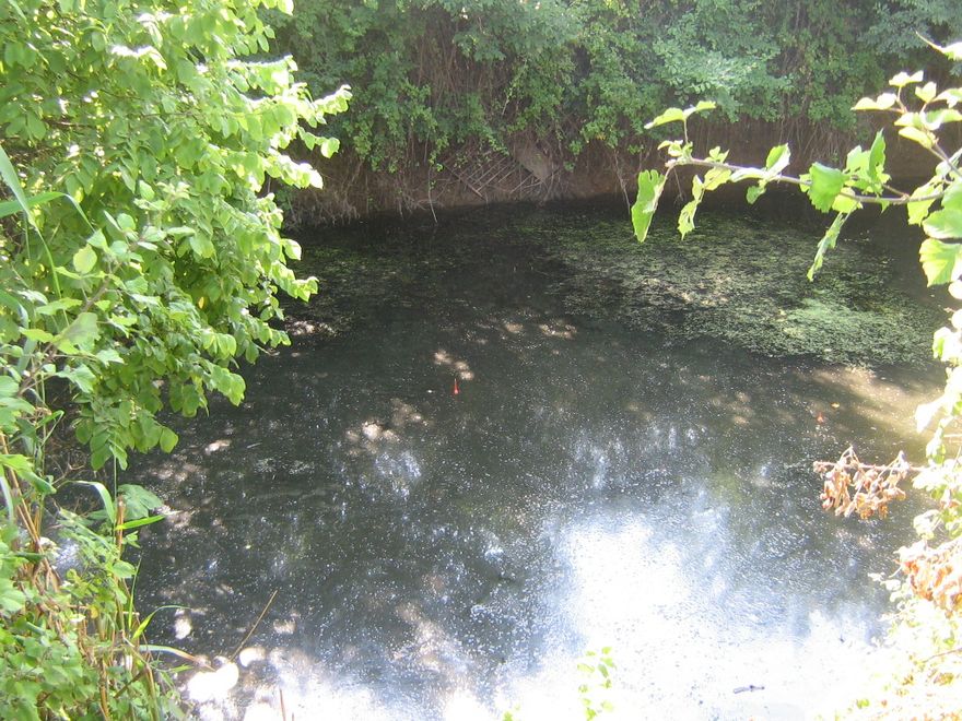 07.2011 230.jpg