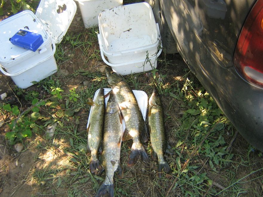 07.2011 233.jpg