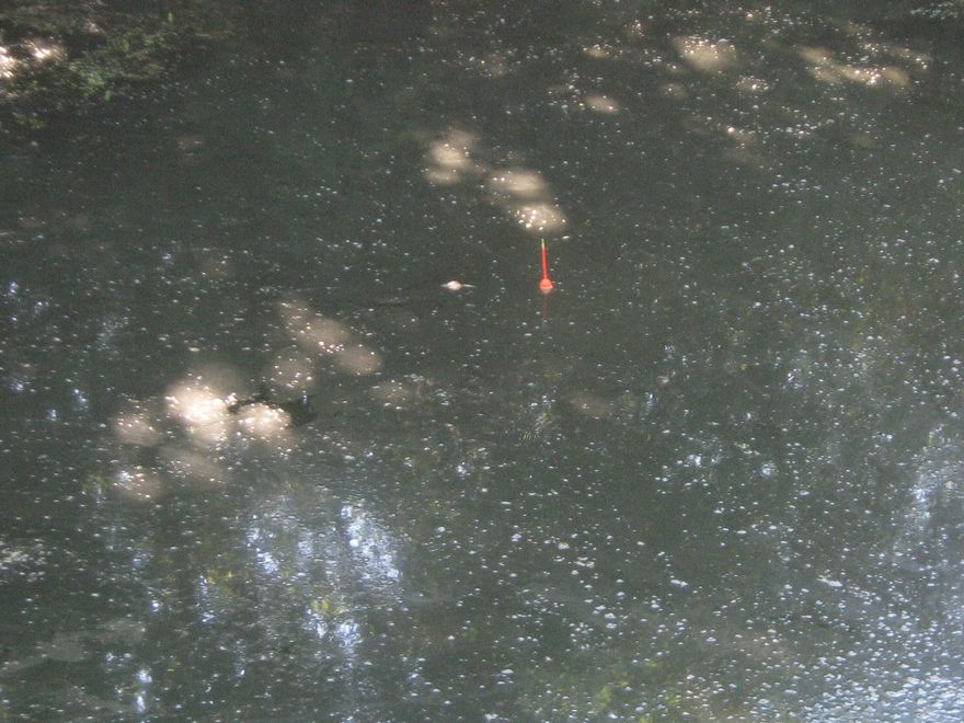 07.2011 241.jpg