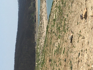 08BFA792-CC25-4988-9C89-569A99C07191.jpeg