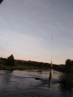IMG_20200827_200818.jpg
