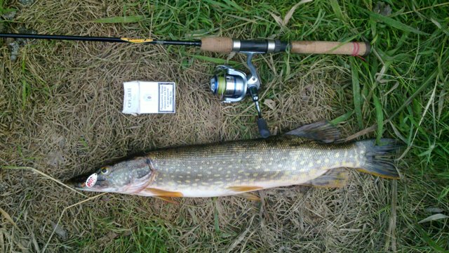 20110823_0031.jpg