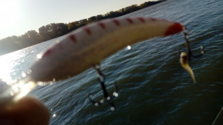 IMG_20201030_091611.jpg