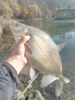 IMG_20201109_111201_4.jpg