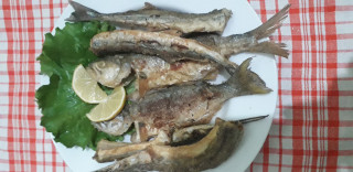 20201119_153927.jpg