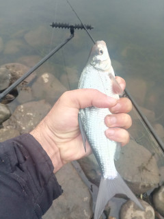 IMG_20201125_103657_7.jpg