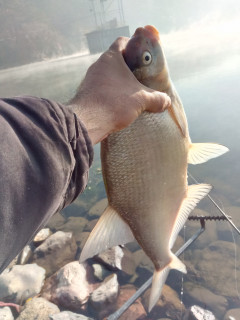 IMG_20201127_101150_1.jpg