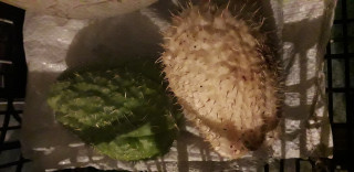 20201212_185327.jpg