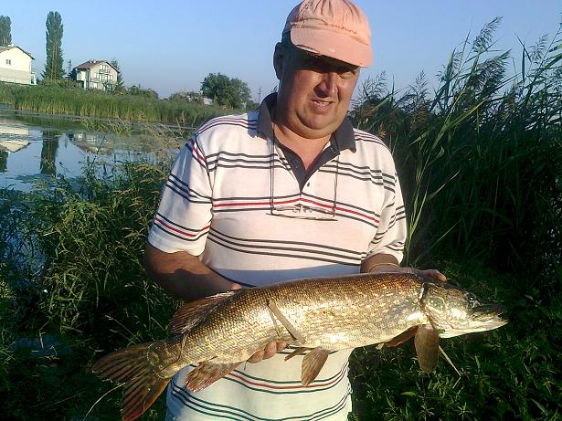 Снимка0248.jpg
