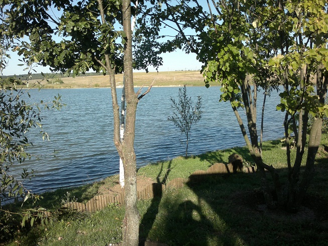 Picture 014.jpg