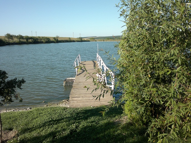 Picture 015.jpg