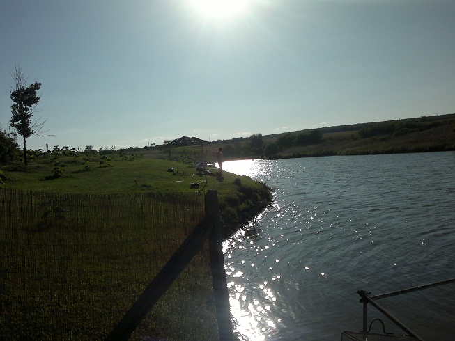 Picture 020.jpg