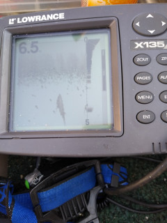 IMG_20210314_152200705.jpg