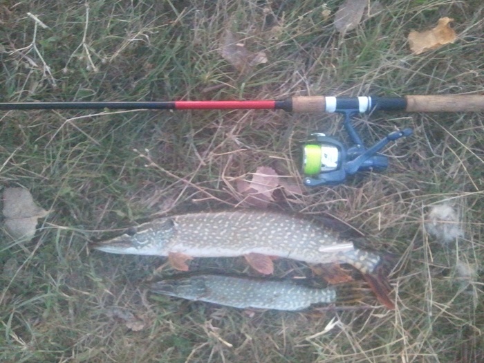 2011-08-30 20.11.01.jpg