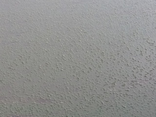 жабурняка