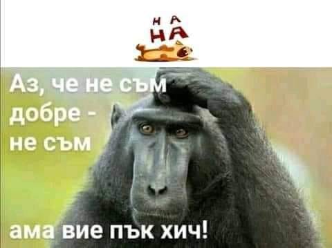 238987841_3921163574652486_1354646588474861767_n.jpg