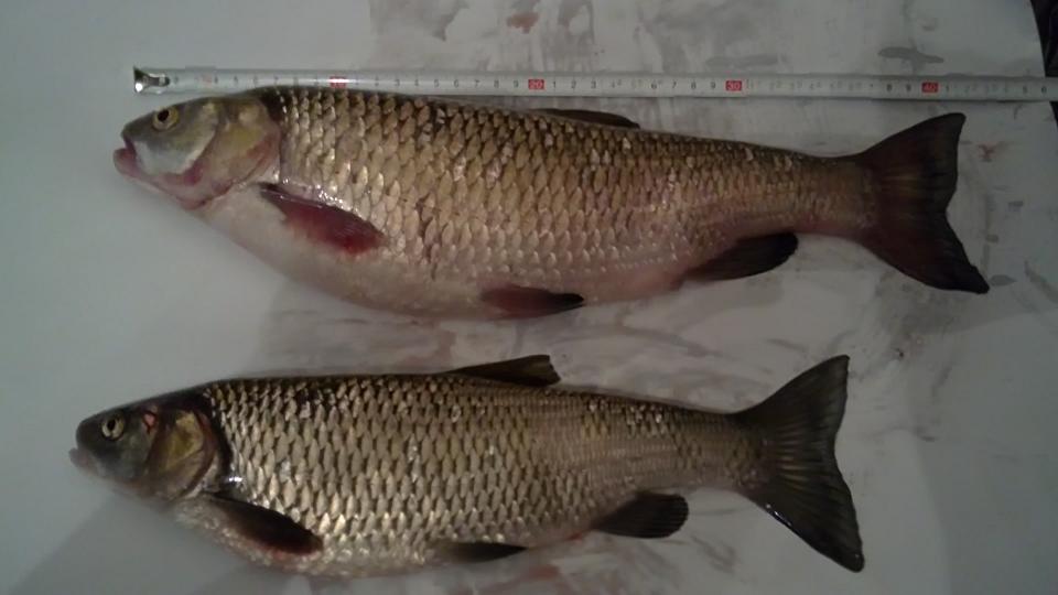 27092011656.JPG