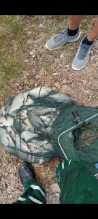 Screenshot_2022-07-24-15-28-11-190_com.miui.gallery.jpg (2.1 MiB) Преглеждано 7105 пъти Тия платики са от преди месец