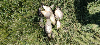 IMG_20240616_103341.jpg