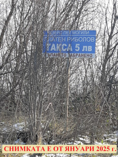 Пет могили Януари 2025 г.jpg