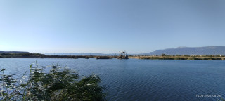 IMG_20250814_082843.jpg