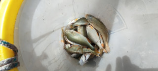 IMG_20250912_112525.jpg