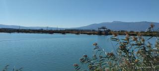 IMG_20261003_113059.jpg