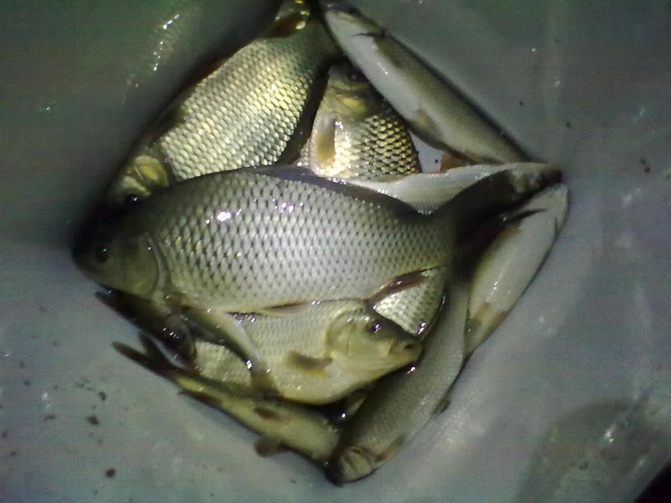 21102011316.jpg
