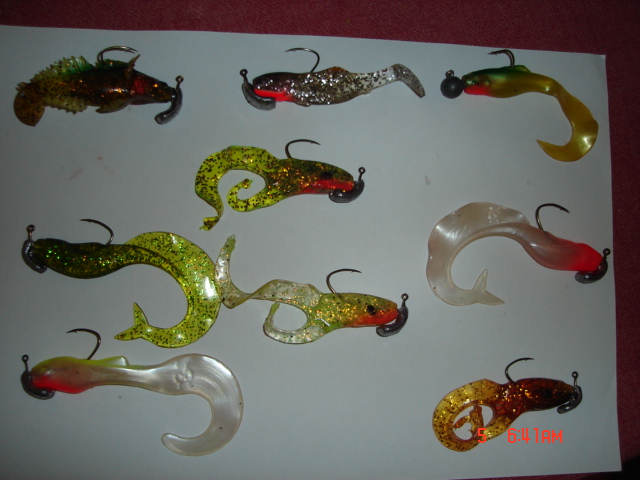 DSC02458.JPG