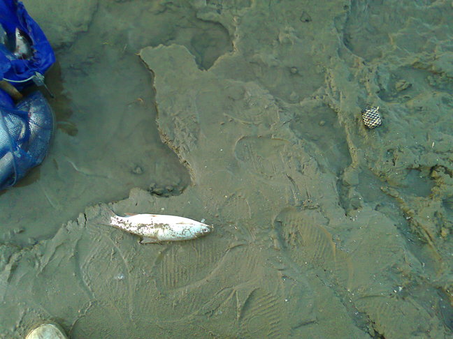 rsz_picture_020.jpg