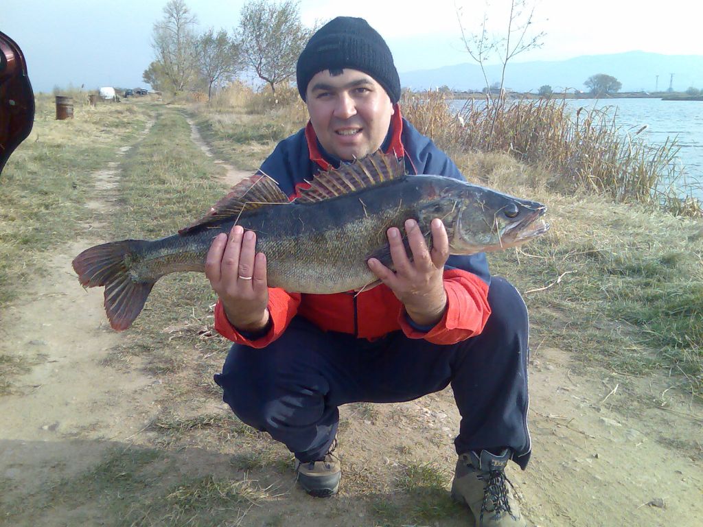 Изображ.141_sm.jpg
