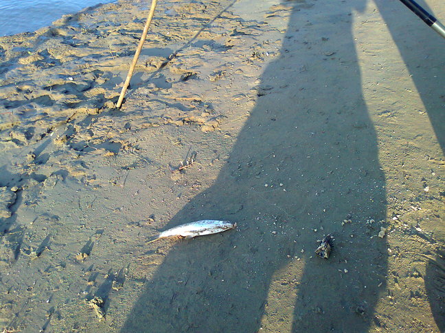 rsz_picture_053.jpg