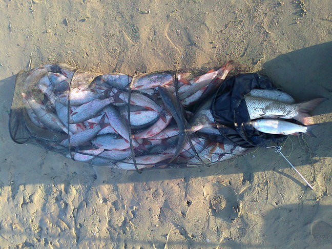 rsz_picture_104.jpg