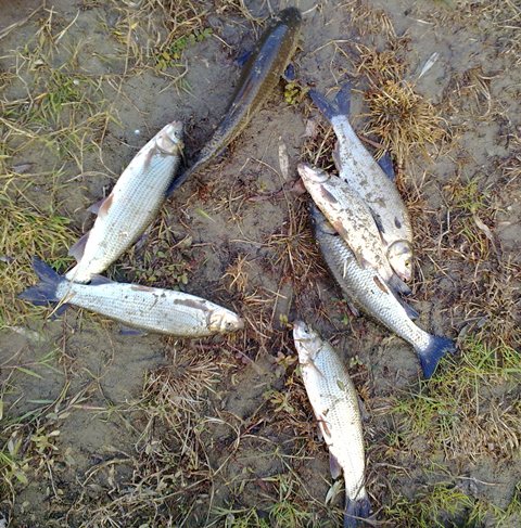 14112011090.jpg