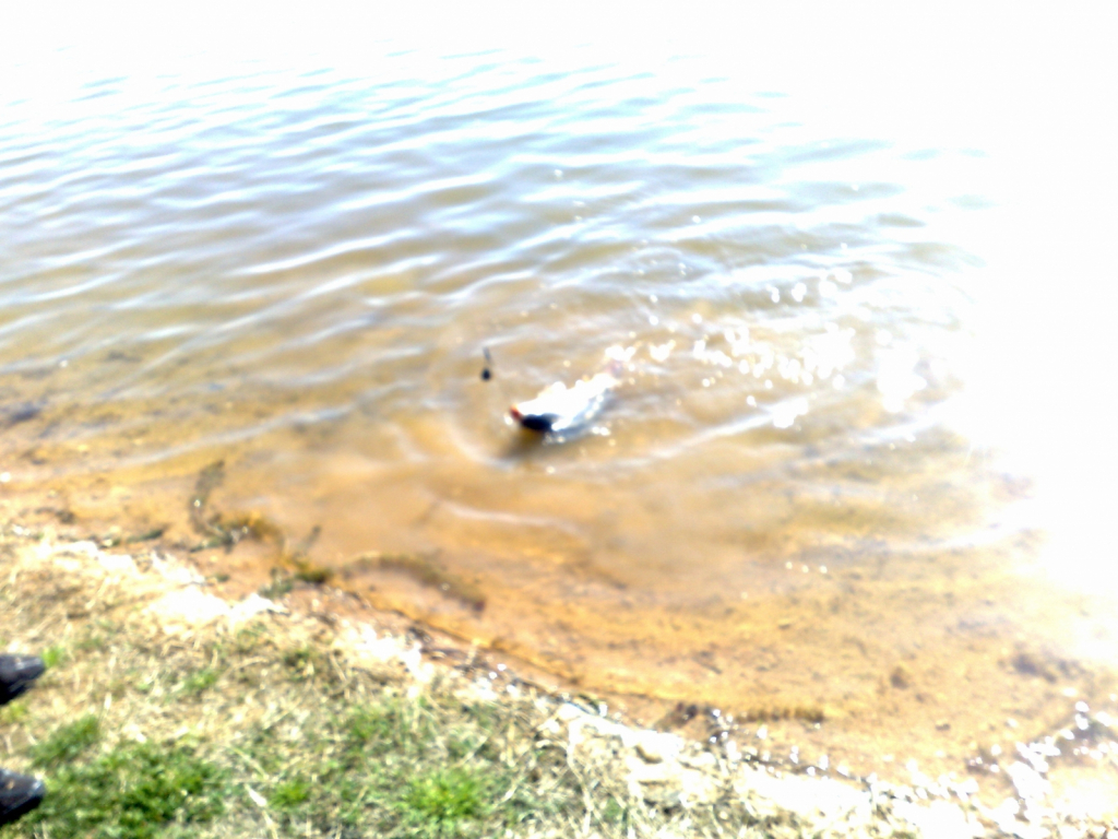 230420111739