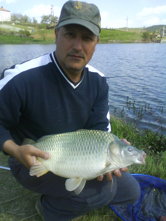 DSC00218
