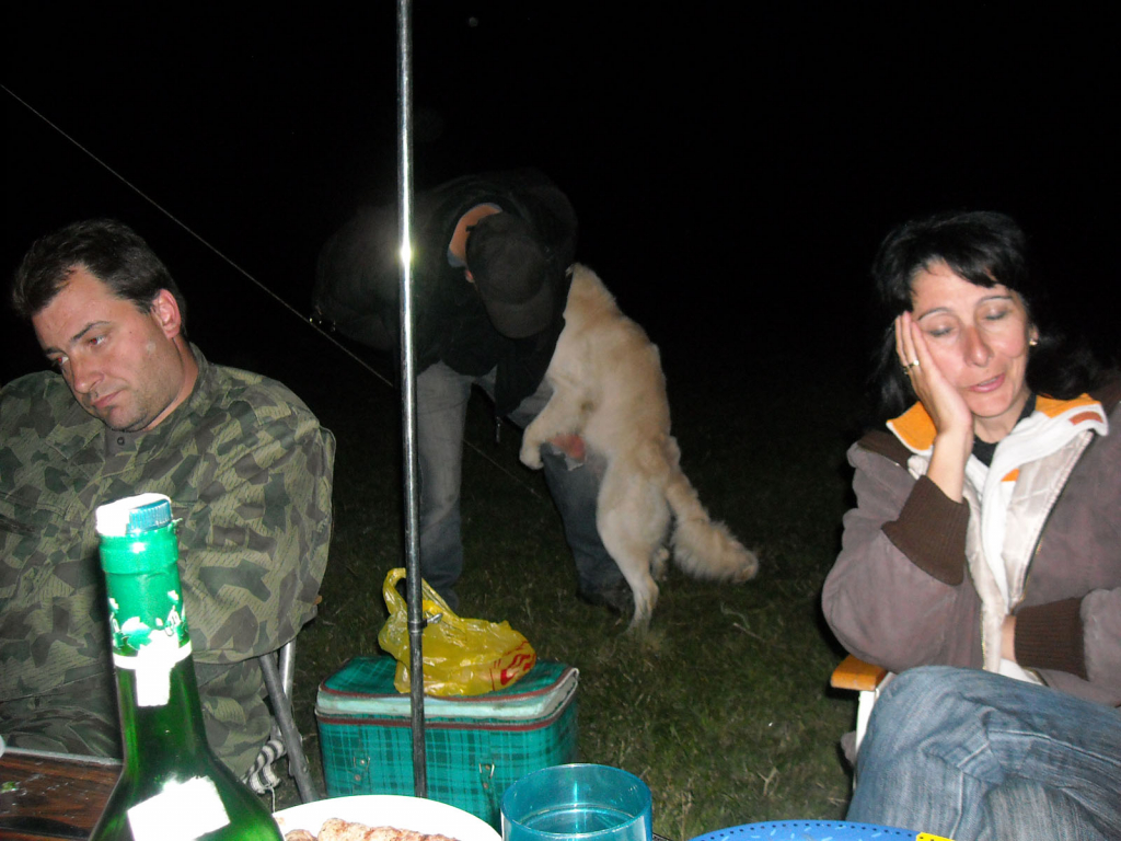 Picture 042