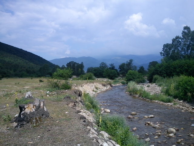 DSC00006