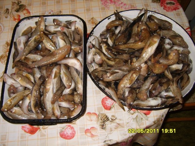 6843512291587407181306089323kAqPEh4wLf7wFqKU2oPG