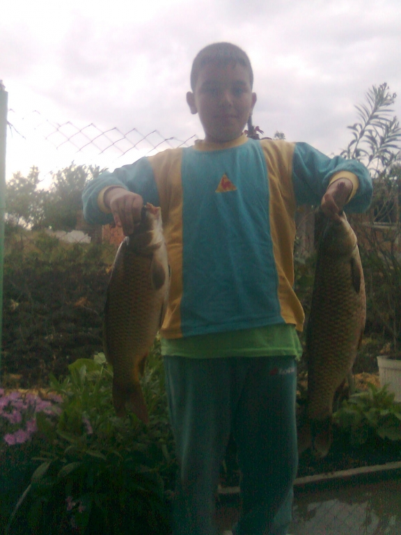 sharan 2,5 kg i amur 2,3kg