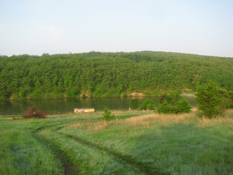 IMG 4547