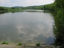 IMG 4577
