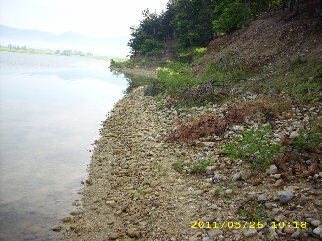 Picture 006