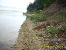 Picture 006