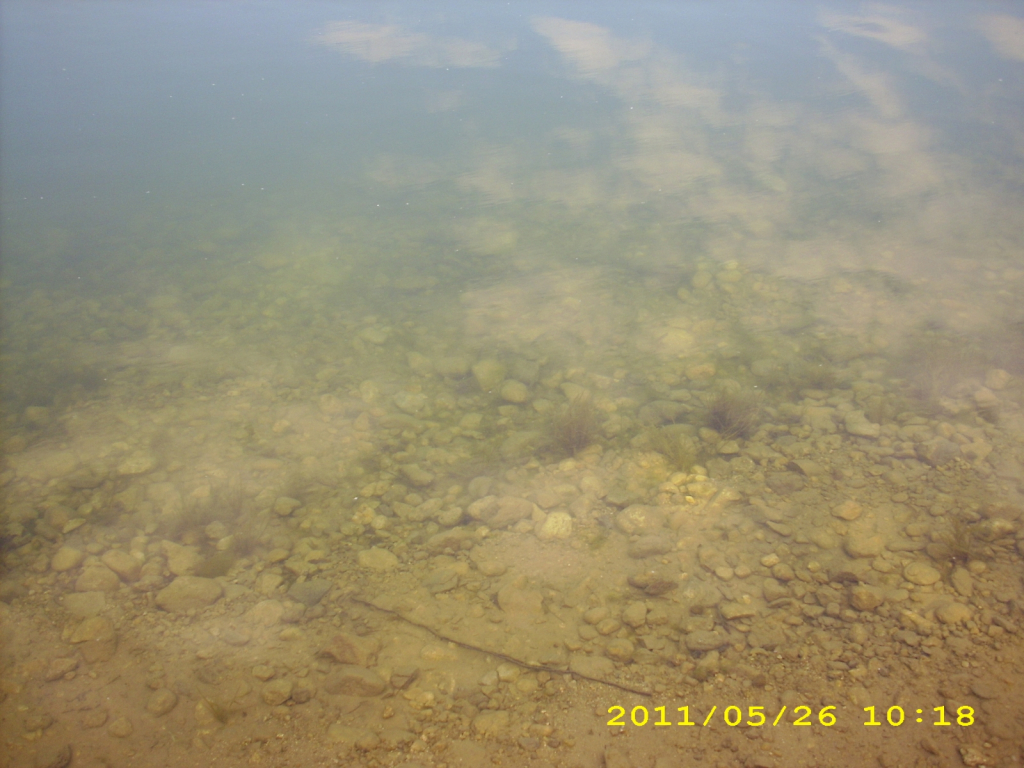 Picture 007