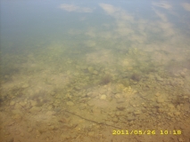 Picture 007